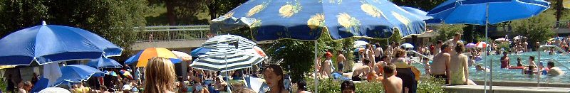 PICT9641-banner.jpg (101429 bytes)